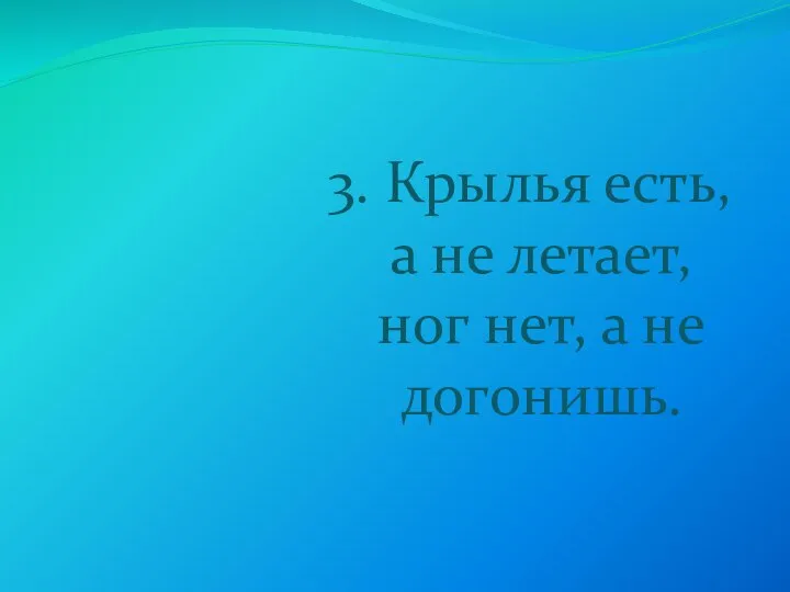 3. Крылья есть, а не летает, ног нет, а не догонишь.