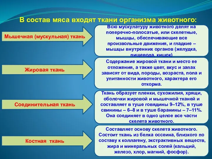 В состав мяса входят ткани организма животного: Мышечная (мускульная) ткань Жировая