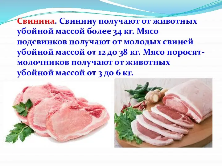 Свинина. Свинину получают от животных убойной массой более 34 кг. Мясо