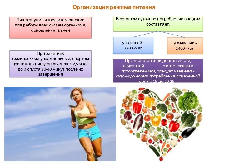 Организация режима питания Пища служит источником энергии для работы всех систем