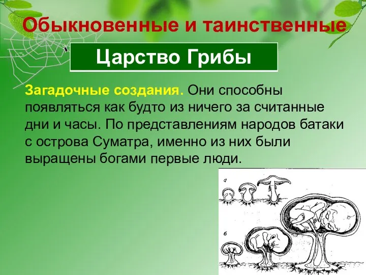 Обыкновенные и таинственные Загадочные создания. Они способны появляться как будто из