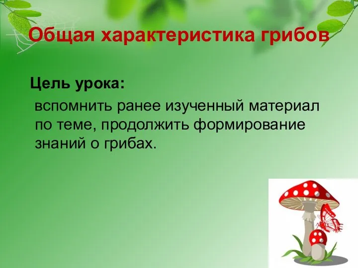 Общая характеристика грибов Цель урока: вспомнить ранее изученный материал по теме, продолжить формирование знаний о грибах.