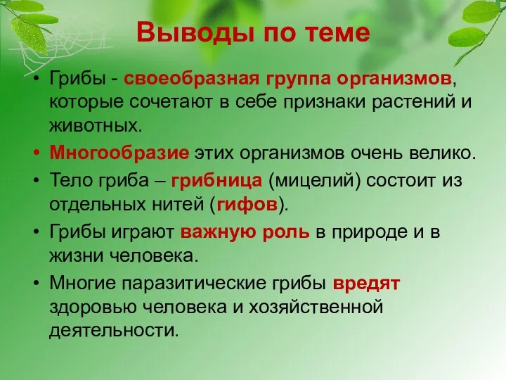 Выводы по теме Грибы - своеобразная группа организмов, которые сочетают в