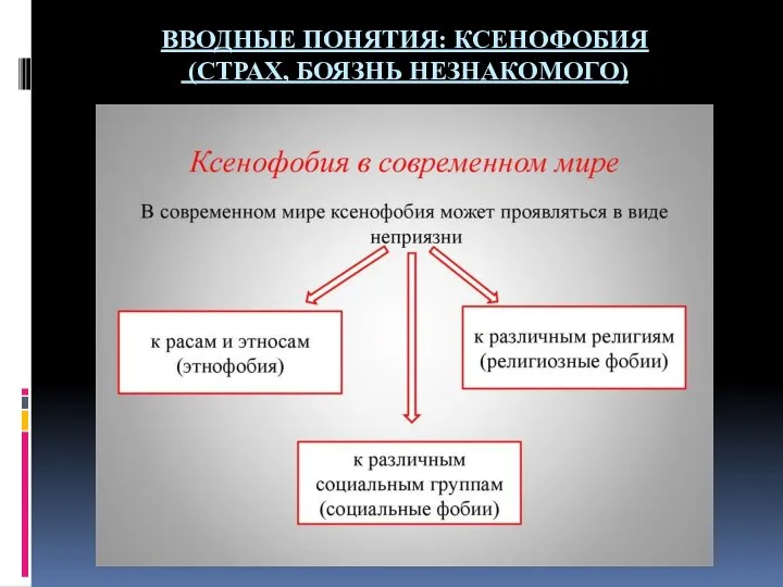 ВВОДНЫЕ ПОНЯТИЯ: КСЕНОФОБИЯ (СТРАХ, БОЯЗНЬ НЕЗНАКОМОГО)