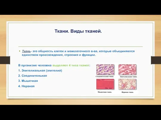 Ткани. Виды тканей. Ткань- это общность клеток и межклеточного в-ва, которые