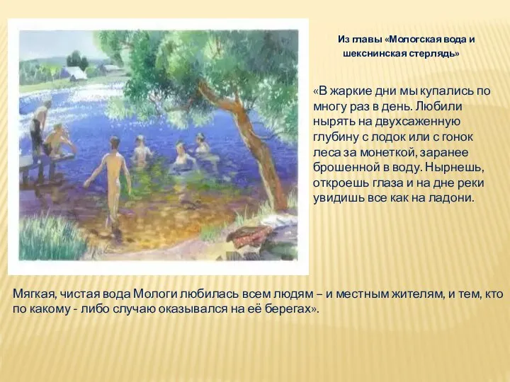 Из главы «Мологская вода и шекснинская стерлядь» «В жаркие дни мы