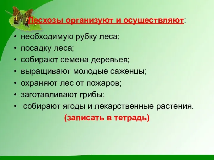 Лесхозы организуют и осуществляют: необходимую рубку леса; посадку леса; собирают семена