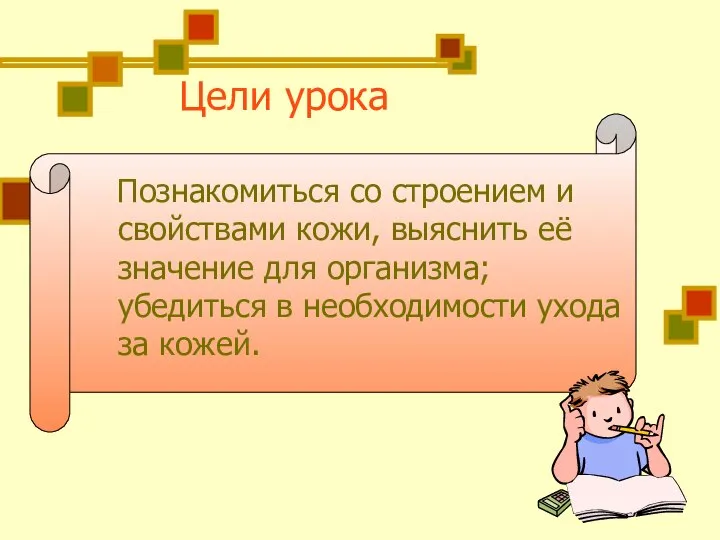 Цели урока Познакомиться со строением и свойствами кожи, выяснить её значение