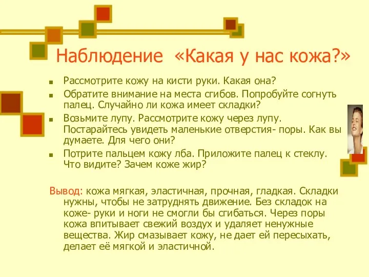 Наблюдение «Какая у нас кожа?» Рассмотрите кожу на кисти руки. Какая