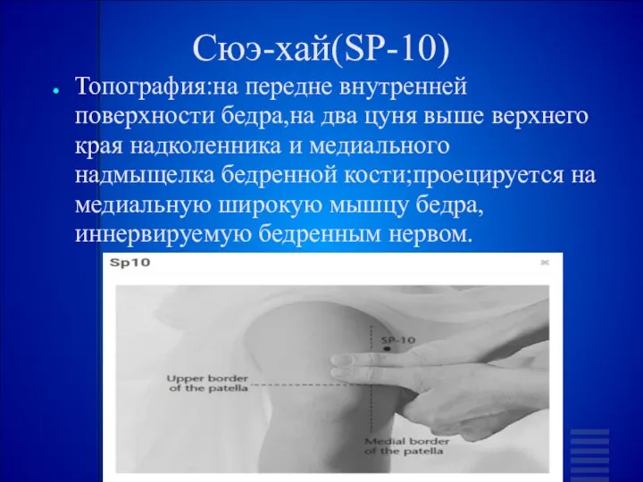 Сюэ-хай(SP-10) Топография:на передне внутренней поверхности бедра,на два цуня выше верхнего края