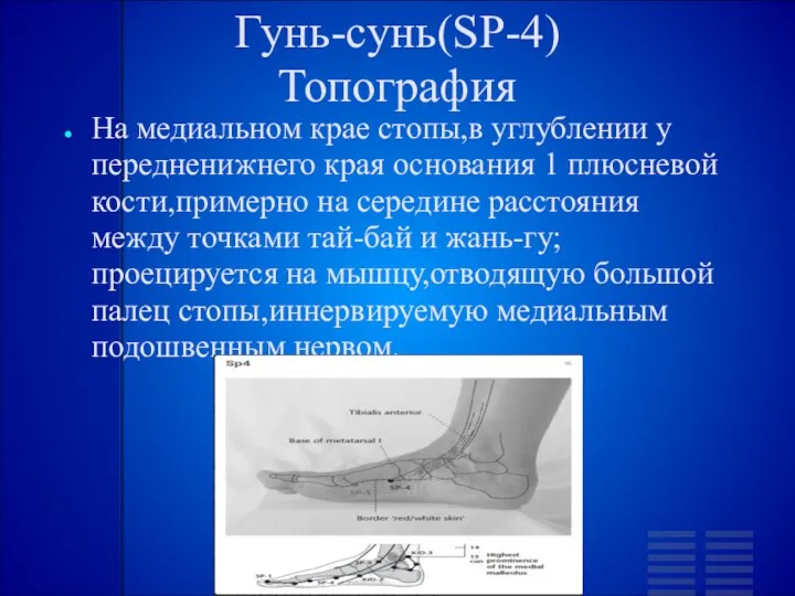 Гунь-сунь(SP-4) Топография На медиальном крае стопы,в углублении у передненижнего края основания