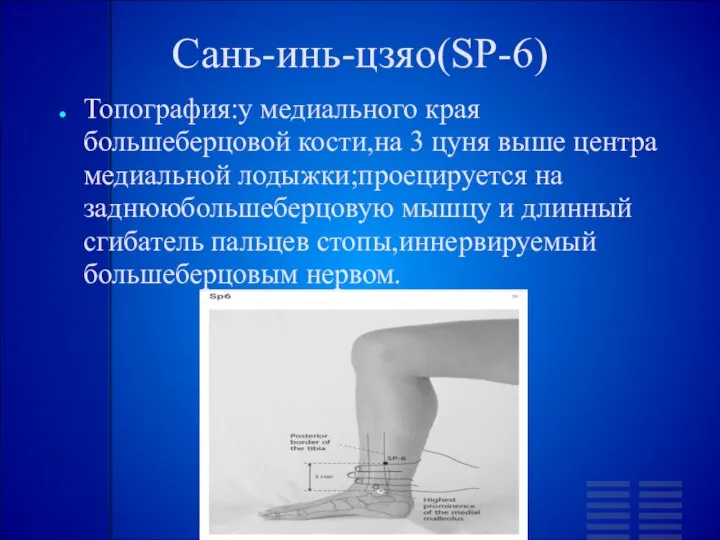 Сань-инь-цзяо(SP-6) Топография:у медиального края большеберцовой кости,на 3 цуня выше центра медиальной