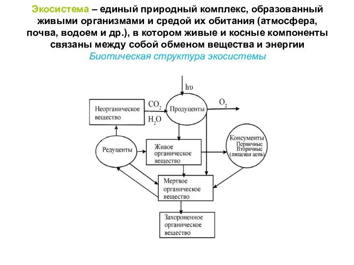 Экосистема – единый природный комплекс, образованный живыми организмами и средой их