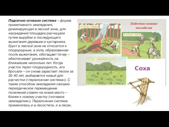 Подсечно-огневая система – форма примитивного земледелия, доминирующая в лесной зоне, для