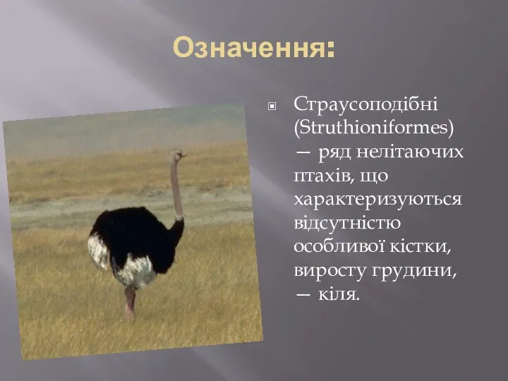 Означення: Страусоподібні (Struthioniformes) — ряд нелітаючих птахів, що характеризуються відсутністю особливої кістки, виросту грудини, — кіля.