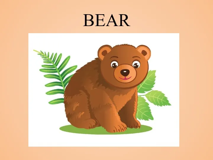 BEAR