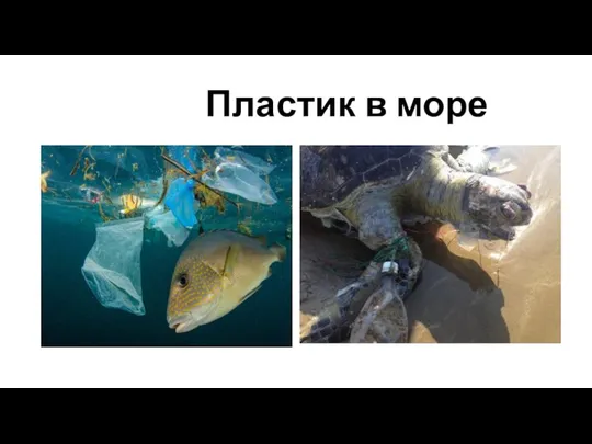 Пластик в море