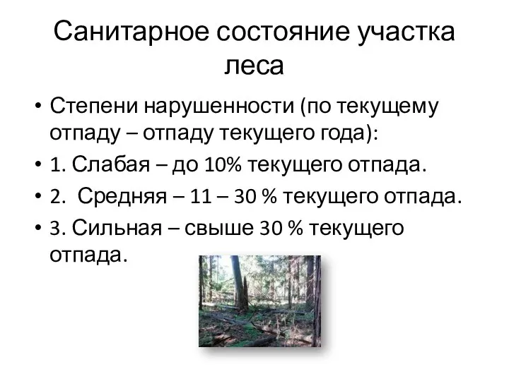 Санитарное состояние участка леса Степени нарушенности (по текущему отпаду – отпаду