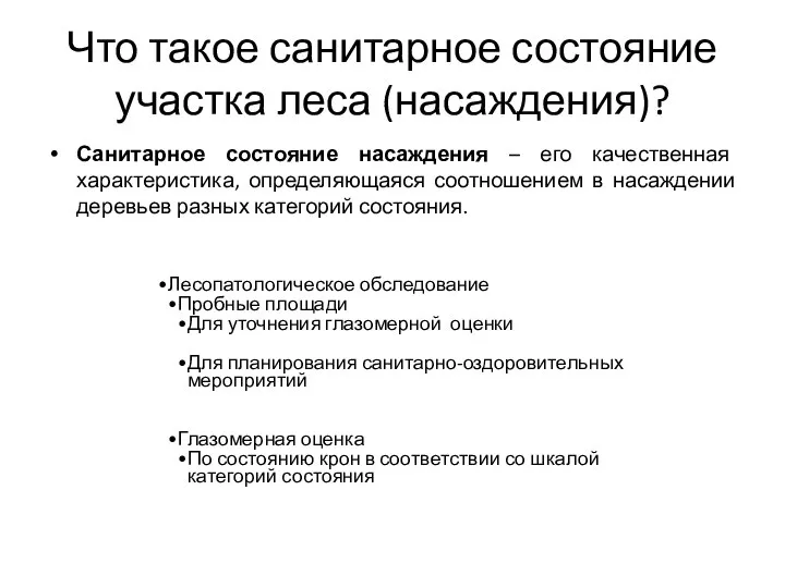 Что такое санитарное состояние участка леса (насаждения)? Санитарное состояние насаждения –