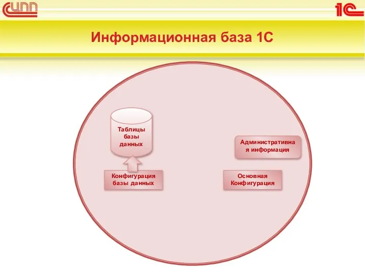 Информационная база 1С