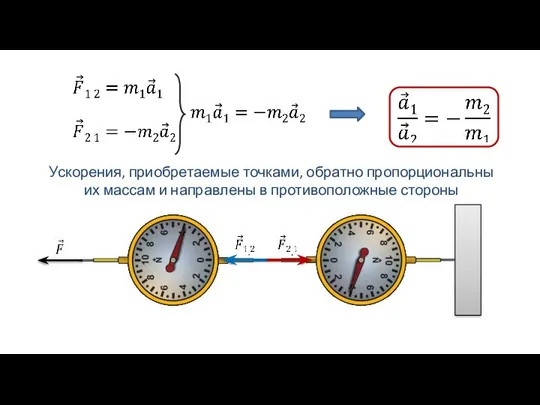 Ускорения, приобретаемые точками, обратно пропорциональны их массам и направлены в противоположные стороны