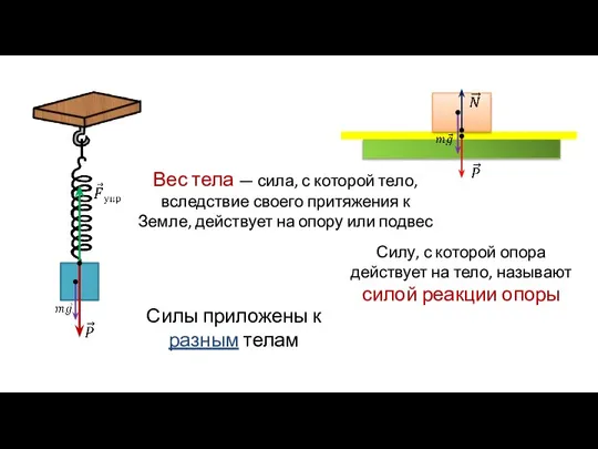 Вес тела — сила, с которой тело, вследствие своего притяжения к