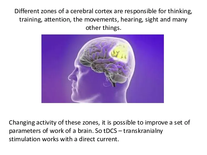 Different zones of a cerebral cortex are responsible for thinking, training,