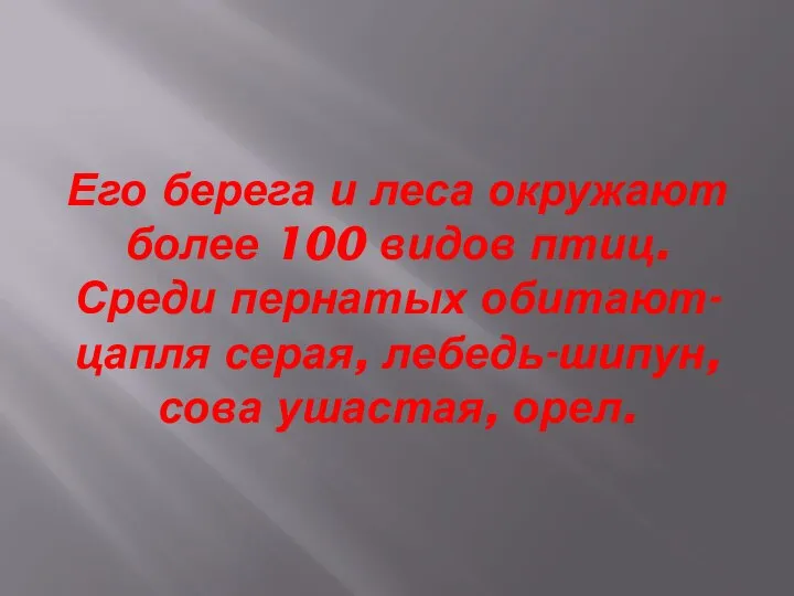 Его берега и леса окружают более 100 видов птиц. Среди пернатых