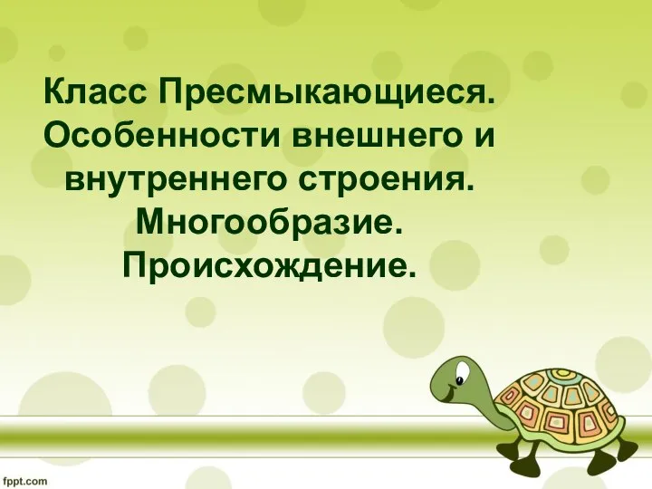 Класс Пресмыкающиеся. Особенности внешнего и внутреннего строения. Многообразие. Происхождение.