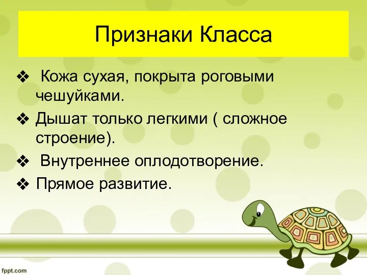 Признаки Класса Кожа сухая, покрыта роговыми чешуйками. Дышат только легкими (