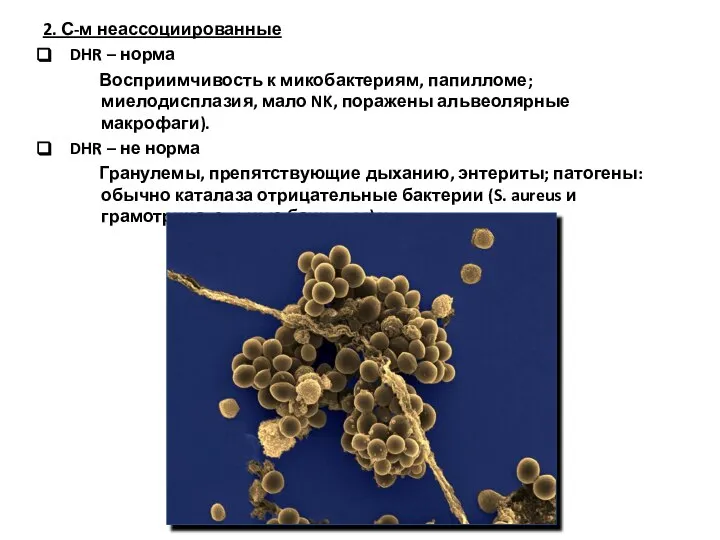 2. С-м неассоциированные DHR – норма Восприимчивость к микобактериям, папилломе; миелодисплазия,