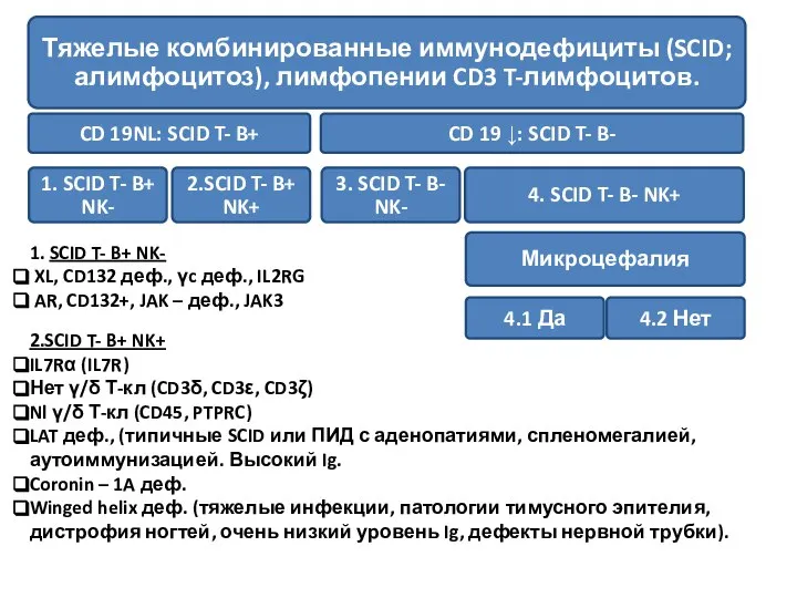 1. SCID T- B+ NK- XL, CD132 деф., γc деф., IL2RG