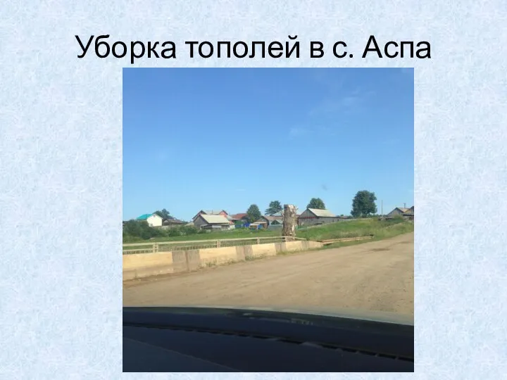 Уборка тополей в с. Аспа