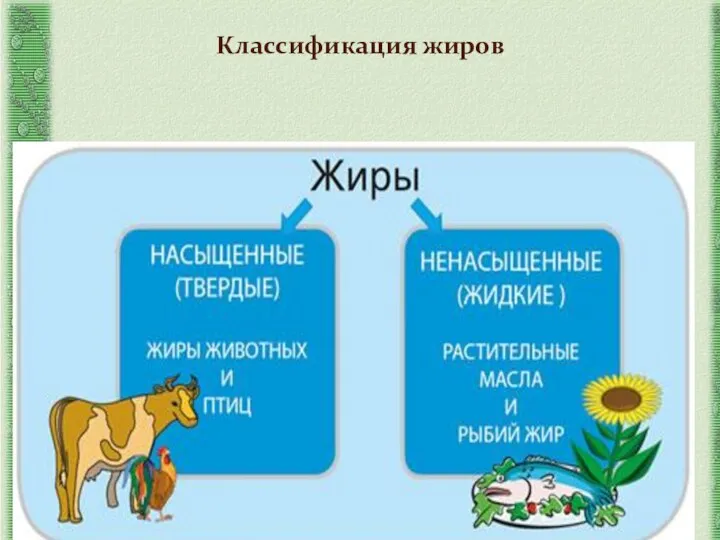 Классификация жиров