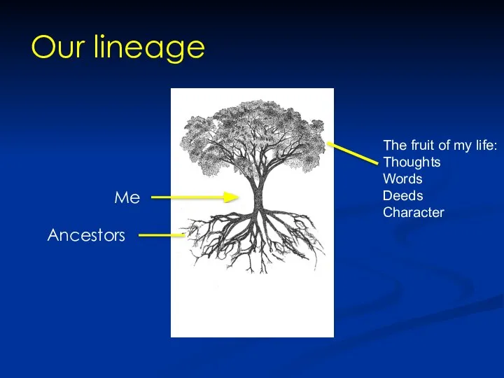 Our lineage Ancestors Me The fruit of my life: Thoughts Words Deeds Character