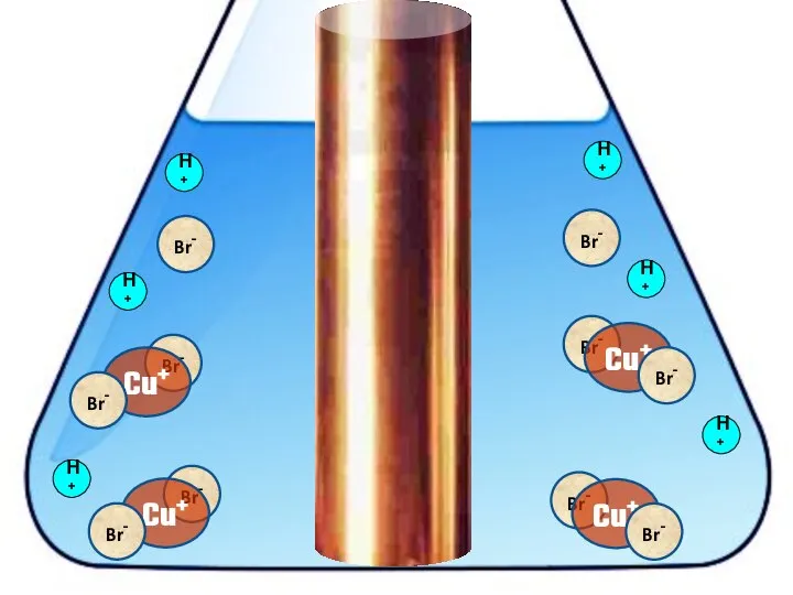 H+ H+ H+ H+ Br- Br- H+ H+