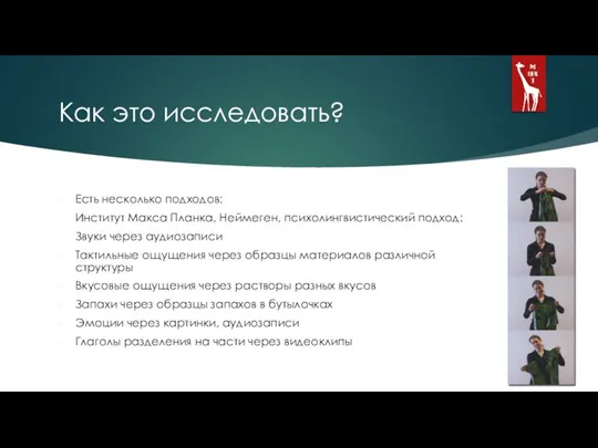 Как это исследовать? Есть несколько подходов: Институт Макса Планка, Неймеген, психолингвистический