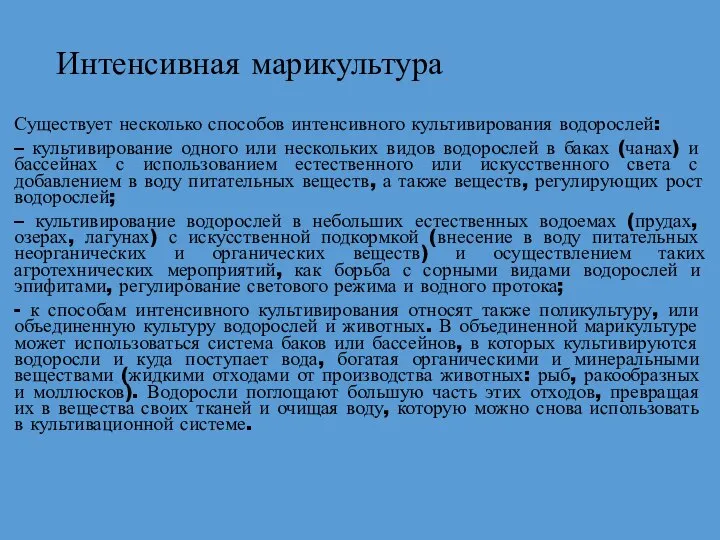 Интенсивная марикультура Существует несколько способов интенсивного культивирования водорослей: – культивирование одного