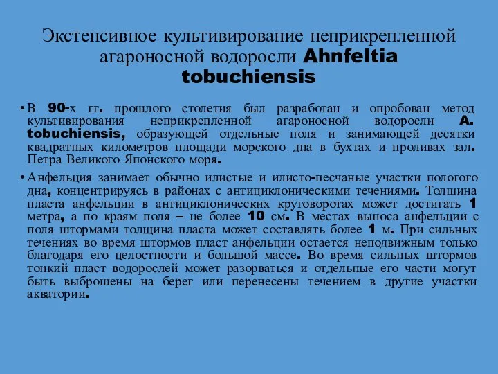 Экстенсивное культивирование неприкрепленной агароносной водоросли Ahnfeltia tobuchiensis В 90-х гг. прошлого