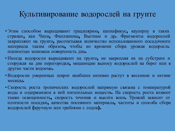 Культивирование водорослей на грунте Этим способом выращивают грацилярию, каппафикус, каулерпу в