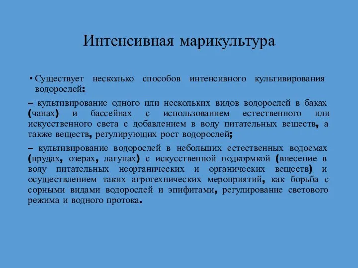 Интенсивная марикультура Существует несколько способов интенсивного культивирования водорослей: – культивирование одного