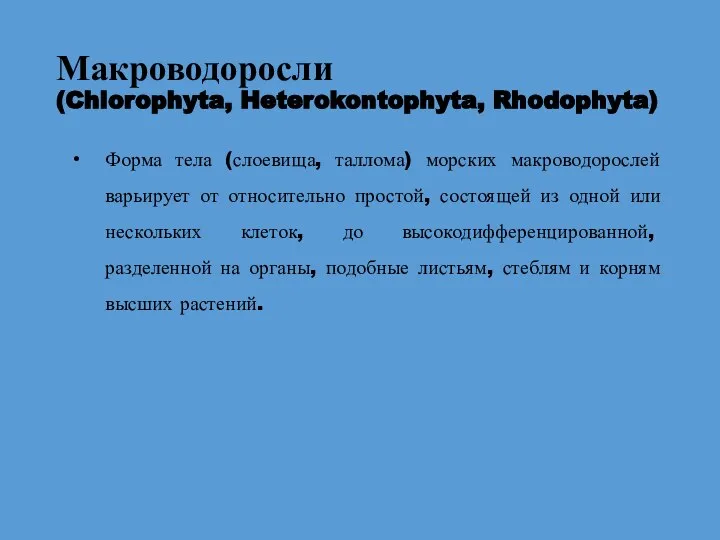 Макроводоросли (Chlorophyta, Heterokontophyta, Rhodophyta) Форма тела (слоевища, таллома) морских макроводорослей варьирует