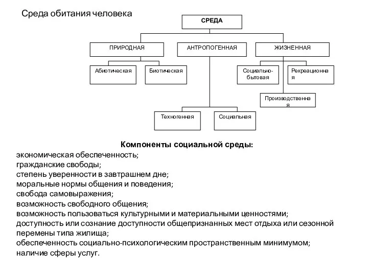 Среда обитания человека Компоненты социальной среды: экономическая обеспеченность; гражданские свободы; степень