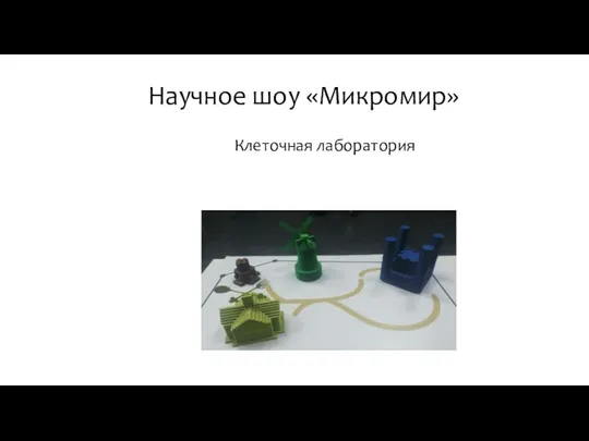 Научное шоу «Микромир» Клеточная лаборатория