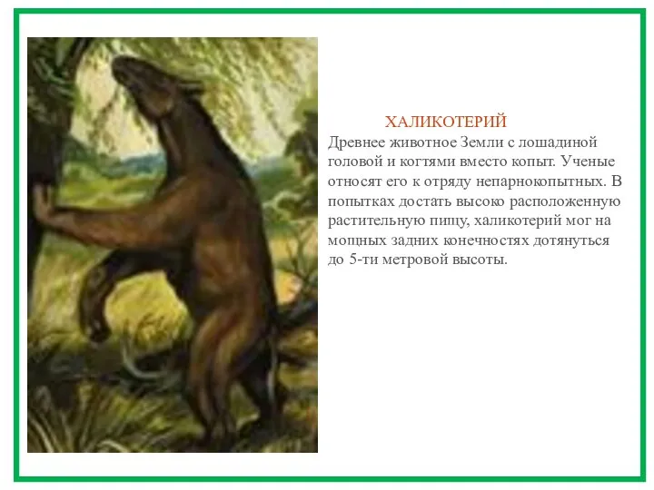 ХАЛИКОТЕРИЙ Древнее животное Земли с лошадиной головой и когтями вместо копыт.