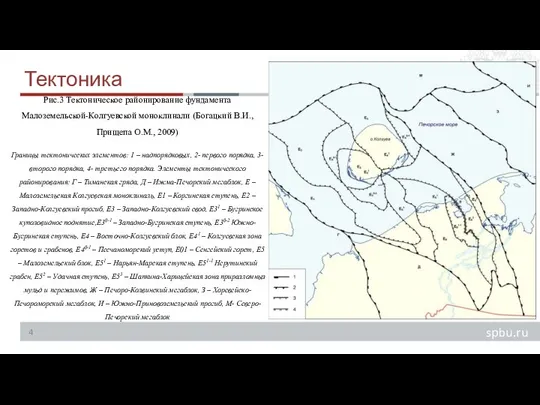 Тектоника Рис.3 Тектоническое районирование фундамента Малоземельской-Колгуевской моноклинали (Богацкий В.И.,Прищепа О.М., 2009)