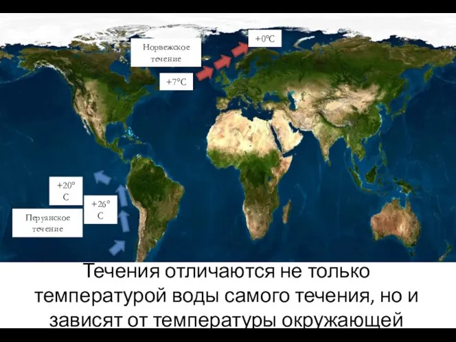 Норвежское течение Перуанское течение Течения отличаются не только температурой воды самого