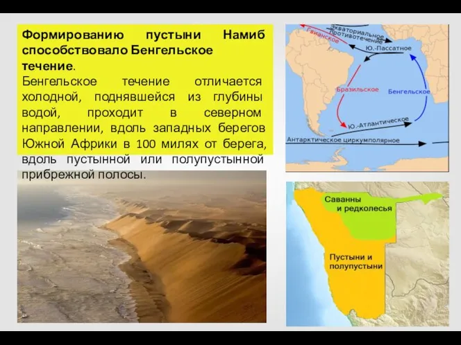 Формированию пустыни Намиб способствовало Бенгельское течение. Бенгельское течение отличается холодной, поднявшейся