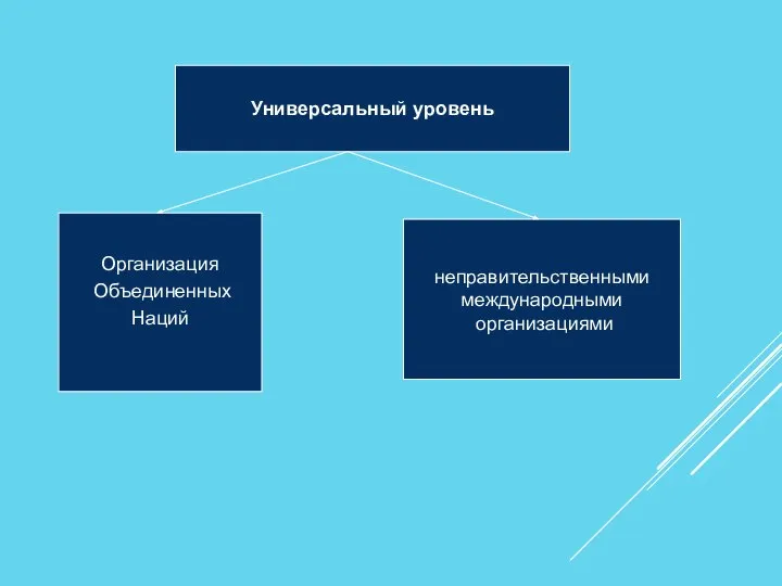 Универсальный уровень Организация Объединенных Наций неправительственными международными организациями