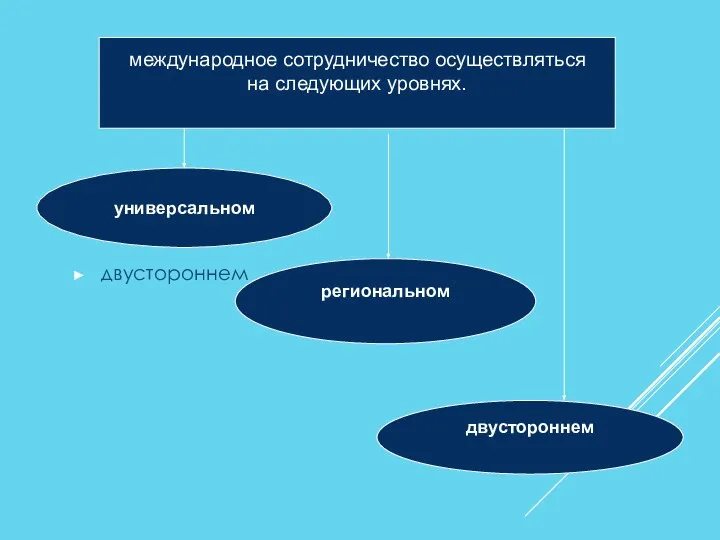 двустороннем универсальном международное сотрудничество осуществляться на следующих уровнях. региональном двустороннем